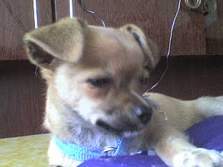 DSC00500.JPG